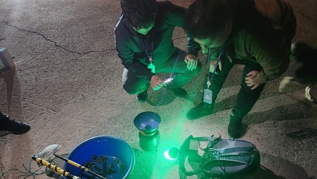 평택해경, 봄철 실뱀장어 불법어업 특별단속 실시…자원 보호 및 어업질서 확