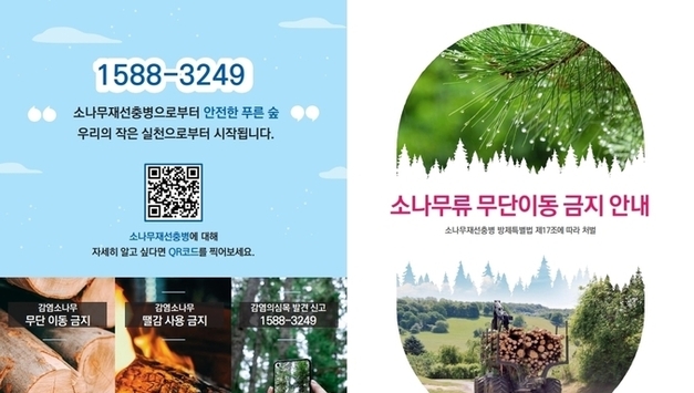 평택시, 소나무재선충병 확산 방지 위한 소나무류 이동 특별 단속